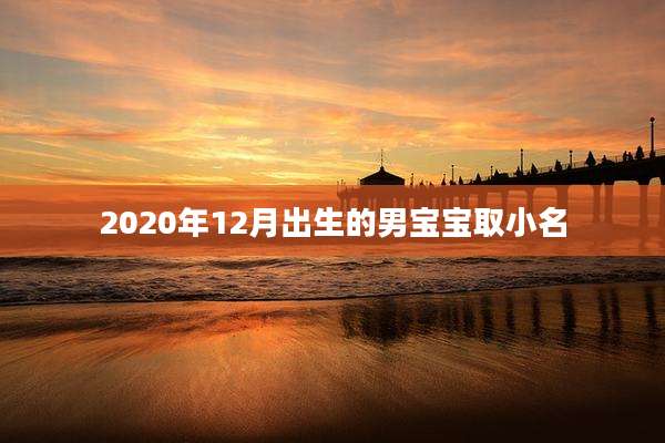 2020年12月出生的男宝宝取小名