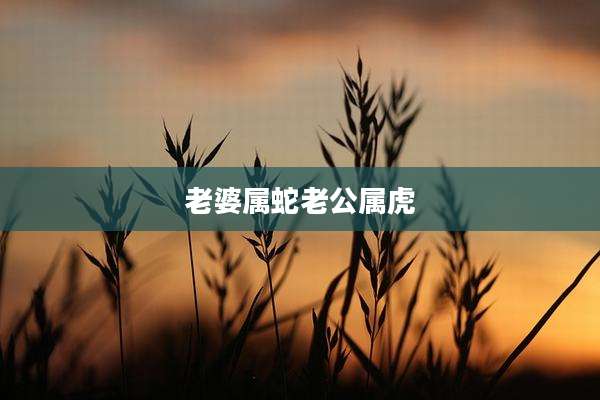 老婆属蛇老公属虎