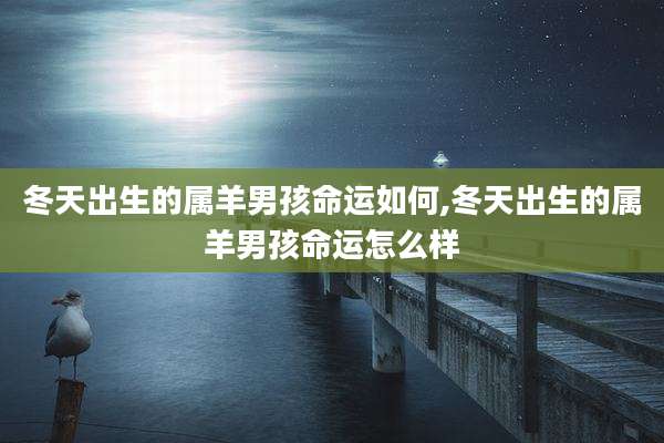 冬天出生的属羊男孩命运如何,冬天出生的属羊男孩命运怎么样