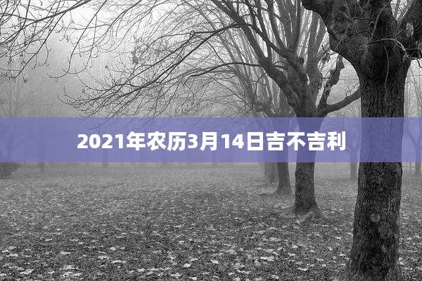 2021年农历3月14日吉不吉利