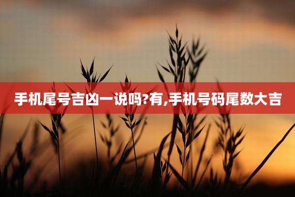 手机尾号吉凶一说吗?有,手机号码尾数大吉