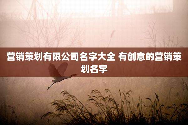 营销策划有限公司名字大全 有创意的营销策划名字