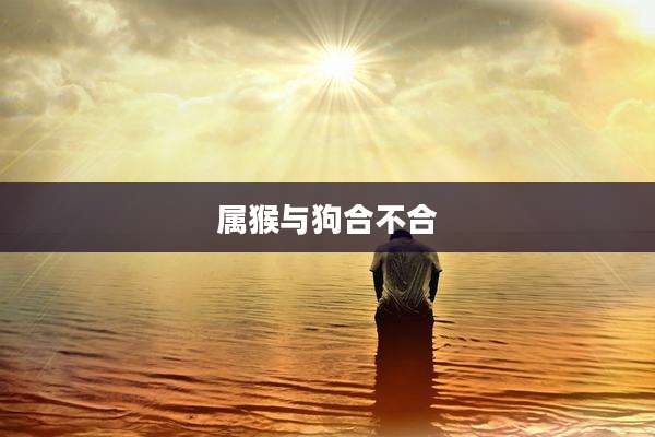 属猴与狗合不合