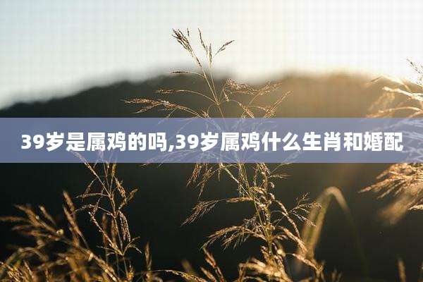 39岁是属鸡的吗,39岁属鸡什么生肖和婚配