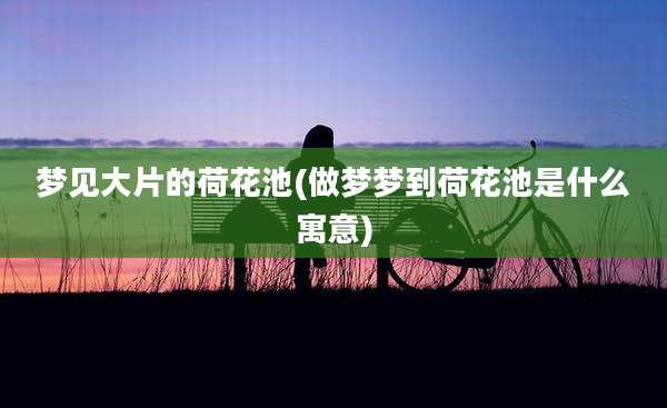 梦见大片的荷花池(做梦梦到荷花池是什么寓意)