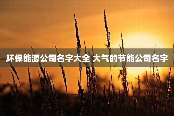 环保能源公司名字大全 大气的节能公司名字