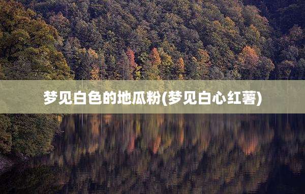 梦见白色的地瓜粉(梦见白心红薯)