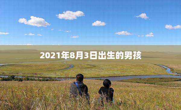2021年8月3日出生的男孩