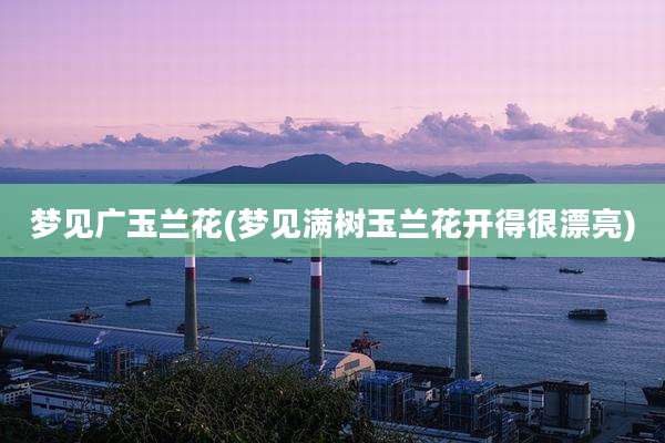 梦见广玉兰花(梦见满树玉兰花开得很漂亮)
