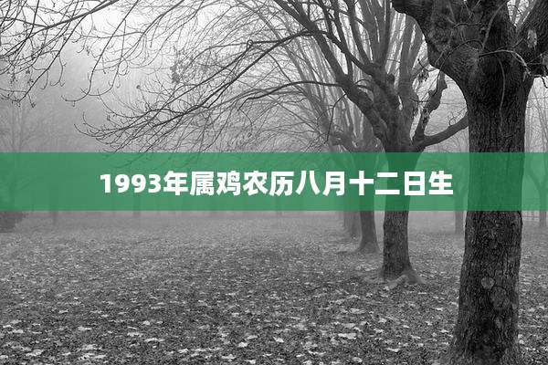 1993年属鸡农历八月十二日生