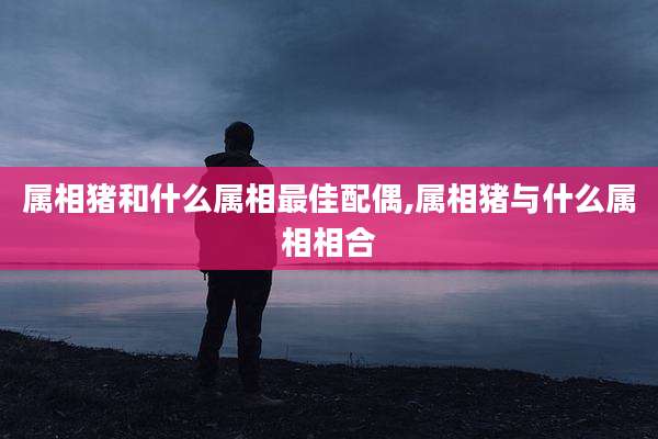 属相猪和什么属相最佳配偶,属相猪与什么属相相合