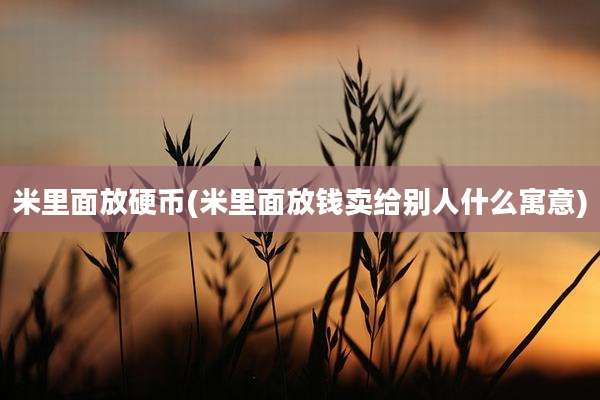 米里面放硬币(米里面放钱卖给别人什么寓意)