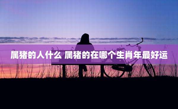 属猪的人什么 属猪的在哪个生肖年最好运