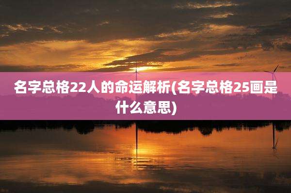 名字总格22人的命运解析(名字总格25画是什么意思)