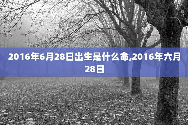 2016年6月28日出生是什么命,2016年六月28日