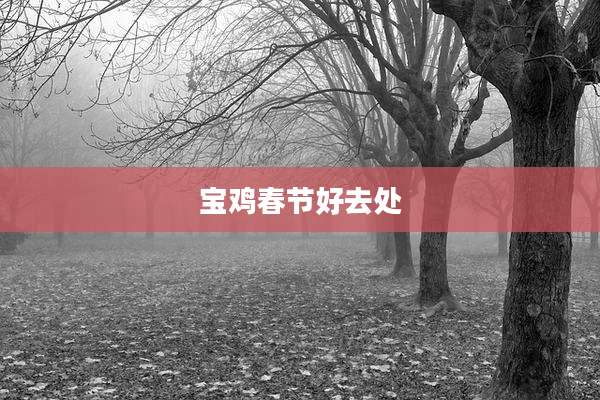宝鸡春节好去处