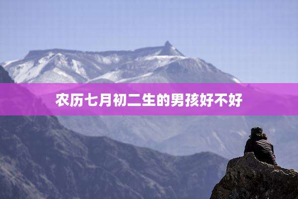 农历七月初二生的男孩好不好