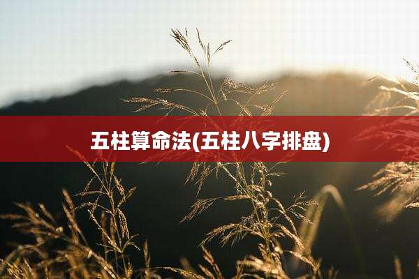 五柱算命法(五柱八字排盘)