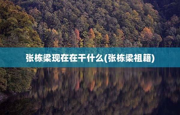 张栋梁现在在干什么(张栋梁祖籍)