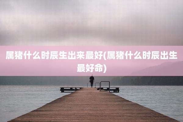 属猪什么时辰生出来最好(属猪什么时辰出生最好命)