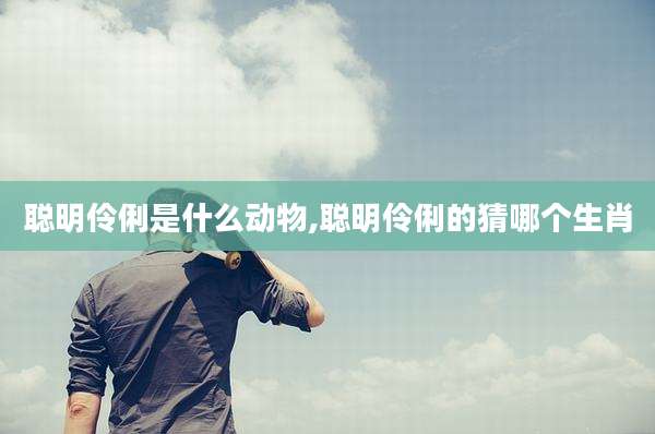 聪明伶俐是什么动物,聪明伶俐的猜哪个生肖