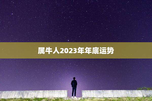 属牛人2023年年底运势