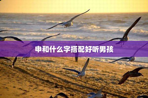 申和什么字搭配好听男孩