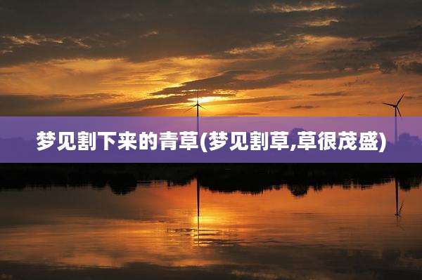 梦见割下来的青草(梦见割草,草很茂盛)