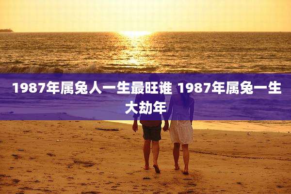 1987年属兔人一生最旺谁 1987年属兔一生大劫年