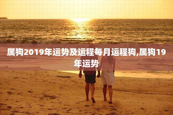 属狗2019年运势及运程每月运程狗,属狗19年运势