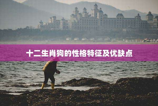 十二生肖狗的性格特征及优缺点