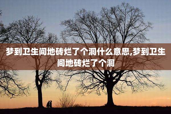 梦到卫生间地砖烂了个洞什么意思,梦到卫生间地砖烂了个洞