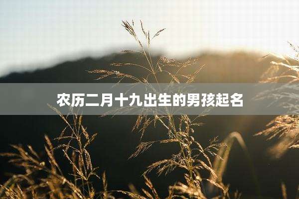 农历二月十九出生的男孩起名