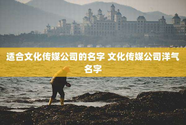 适合文化传媒公司的名字 文化传媒公司洋气名字