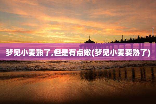 梦见小麦熟了,但是有点嫩(梦见小麦要熟了)