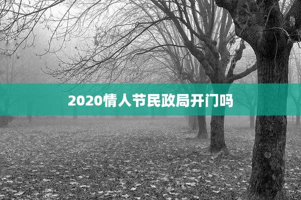 2020情人节民政局开门吗