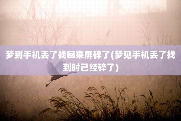 梦到手机丢了找回来屏碎了(梦见手机丢了找到时已经碎了)