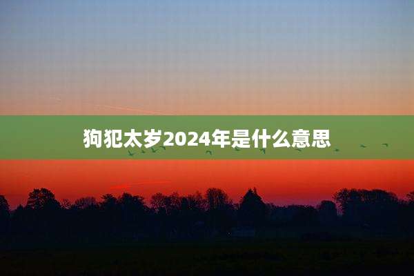 狗犯太岁2024年是什么意思