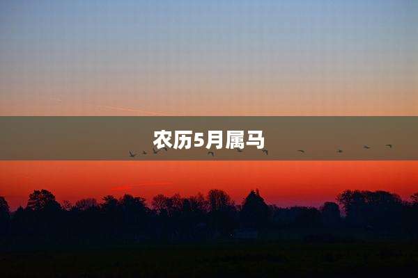 农历5月属马