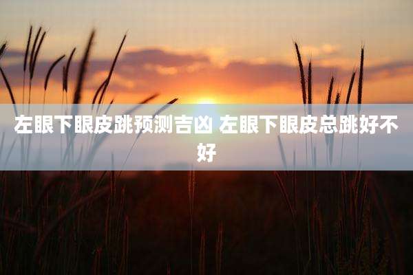 左眼下眼皮跳预测吉凶 左眼下眼皮总跳好不好