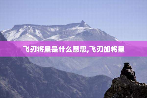 飞刃将星是什么意思,飞刃加将星