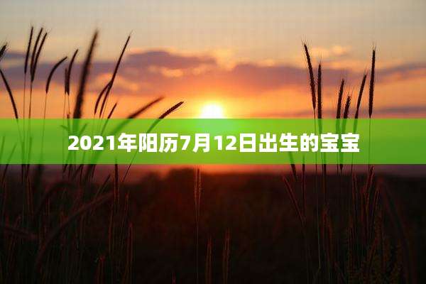 2021年阳历7月12日出生的宝宝