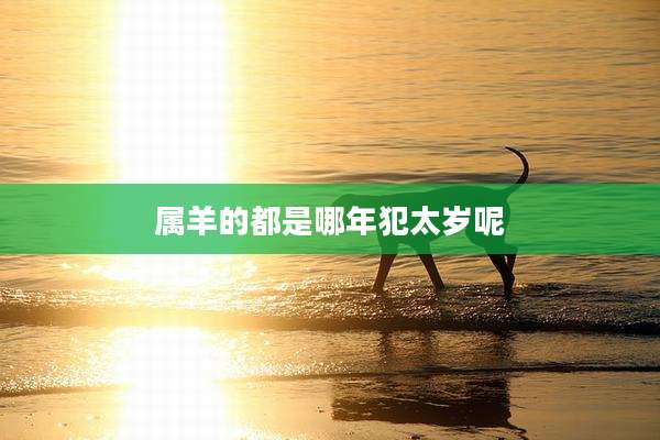 属羊的都是哪年犯太岁呢