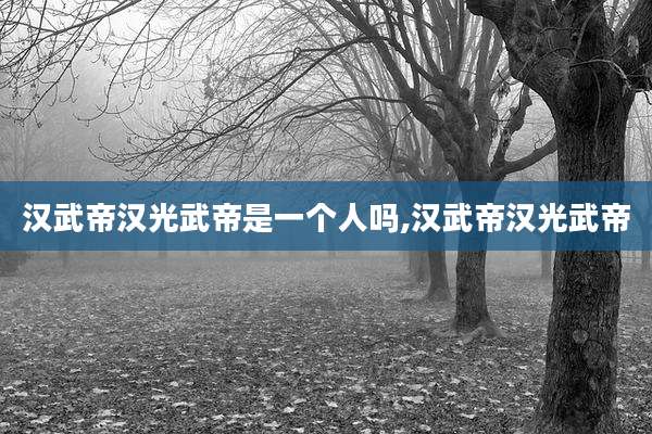汉武帝汉光武帝是一个人吗,汉武帝汉光武帝