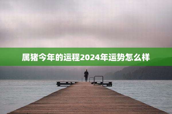 属猪今年的运程2024年运势怎么样