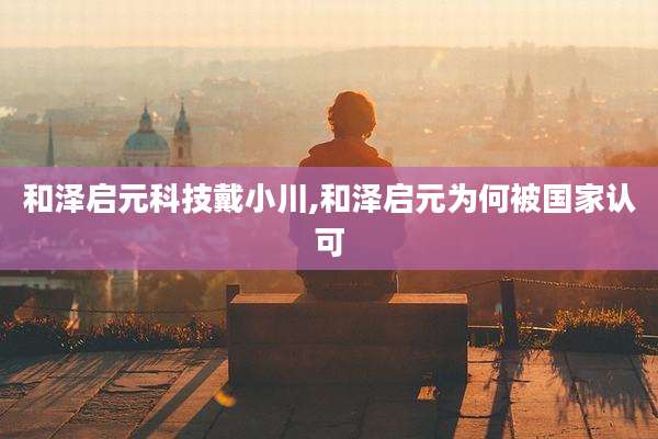 和泽启元科技戴小川,和泽启元为何被国家认可