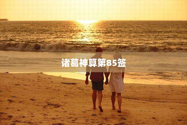 诸葛神算第85签
