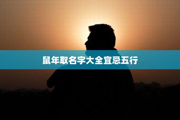 鼠年取名字大全宜忌五行