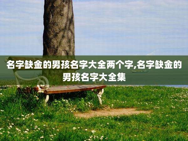 名字缺金的男孩名字大全两个字,名字缺金的男孩名字大全集