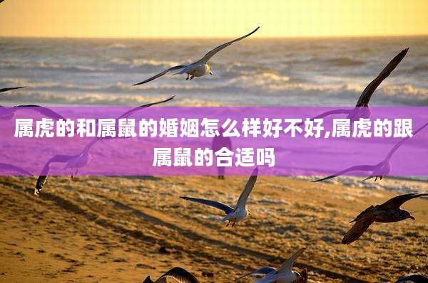 属虎的和属鼠的婚姻怎么样好不好,属虎的跟属鼠的合适吗